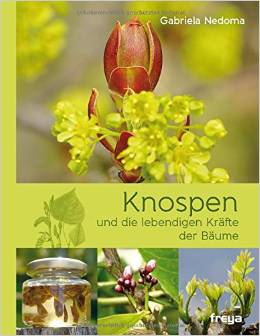 Buch - Knospen - Freya Verlag